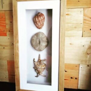 Coastal Keepsake Frame